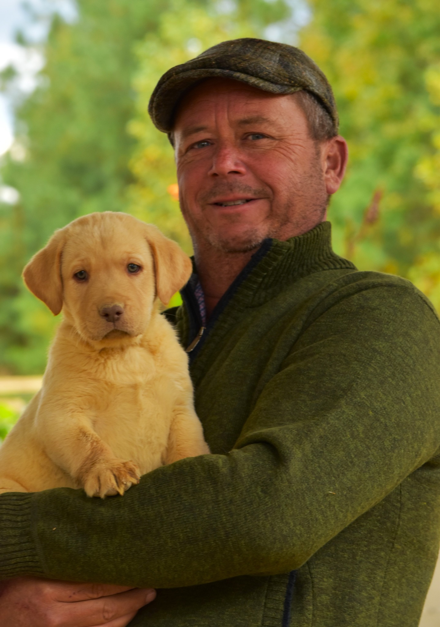 Blue Ridge Lane... - Blue Ridge Lane Labrador Retrievers