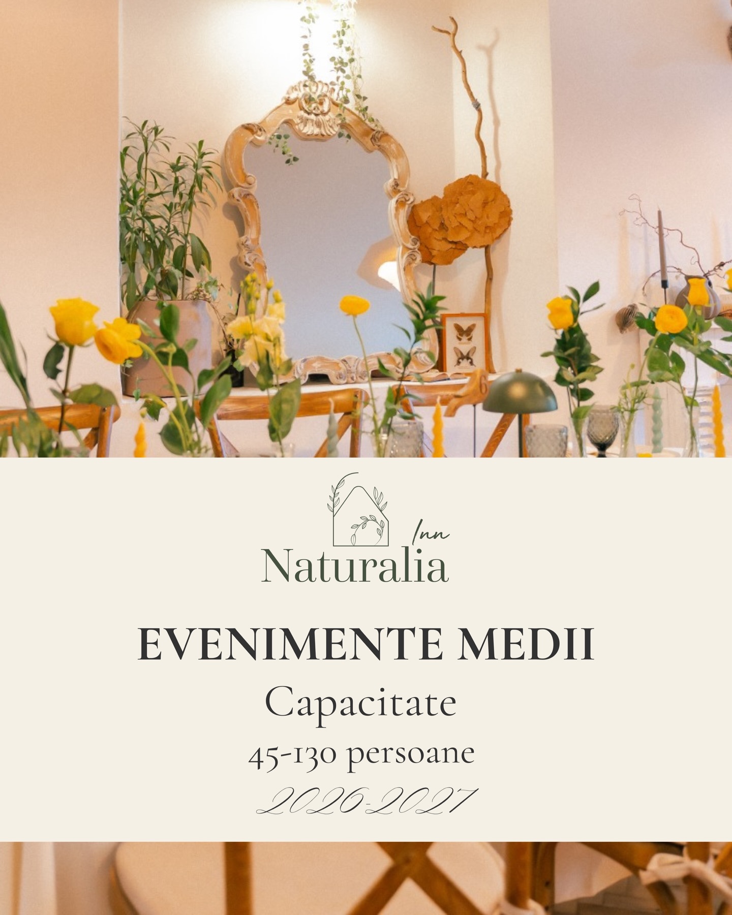 Naturalia Inn | Brasov