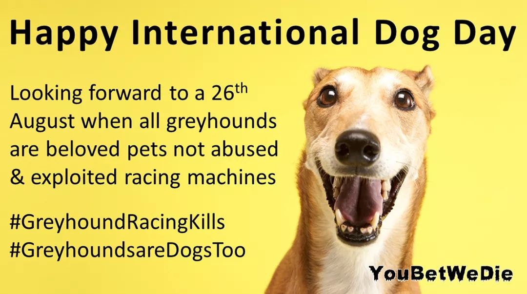 Stop Greyhound Racing in the UK