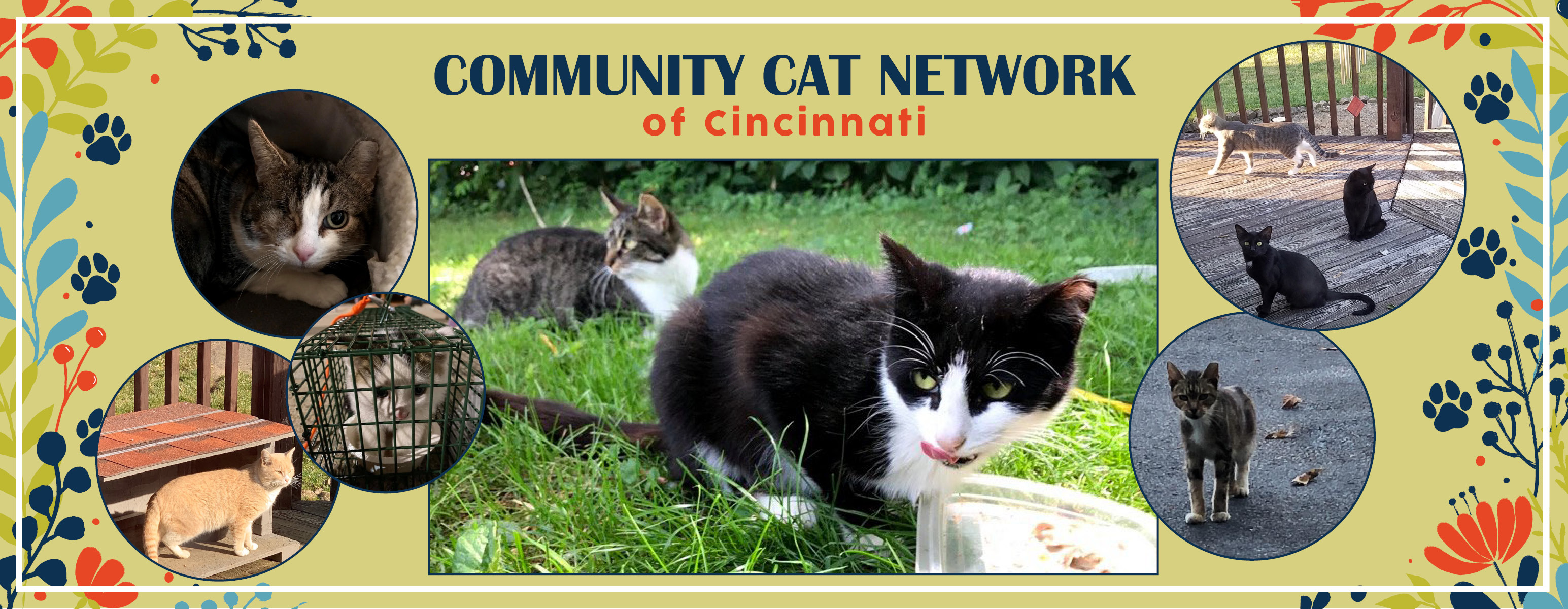Community Cat Network of Cincinnati | Cincinnati OH