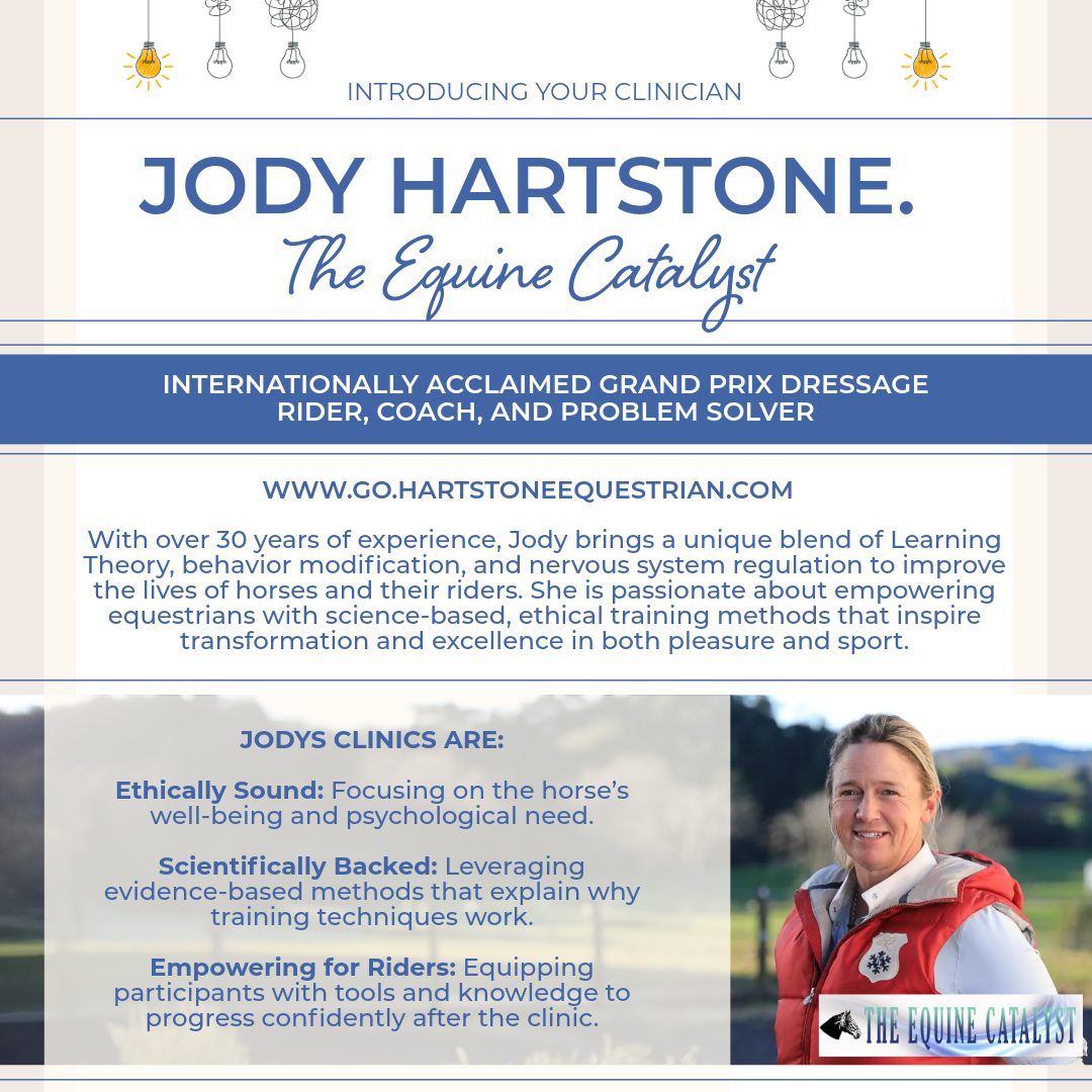 Shotover Equestrian | Queenstown