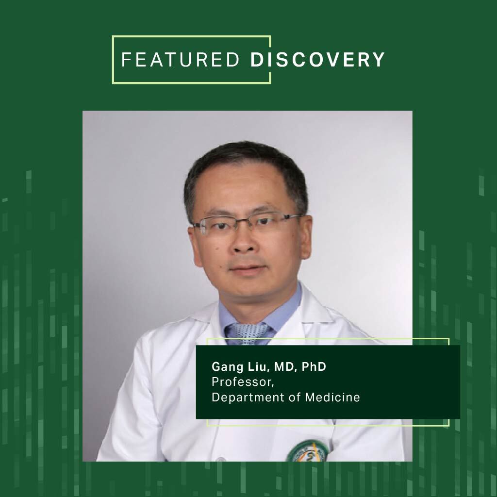 UAB - Gang Liu, M.D., Ph.D., and Huachun Cui, Ph.D., from the ...