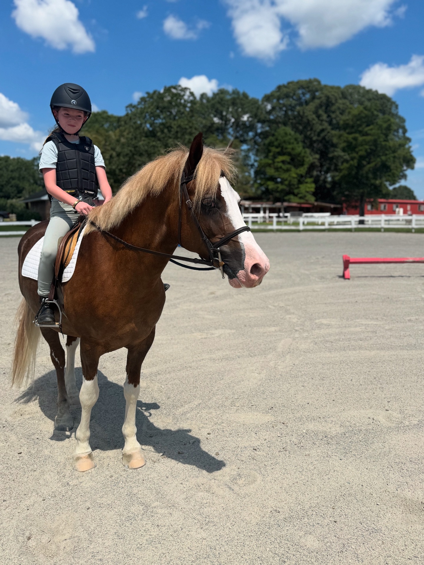 Falcon Ridge Stables | Woodstock GA