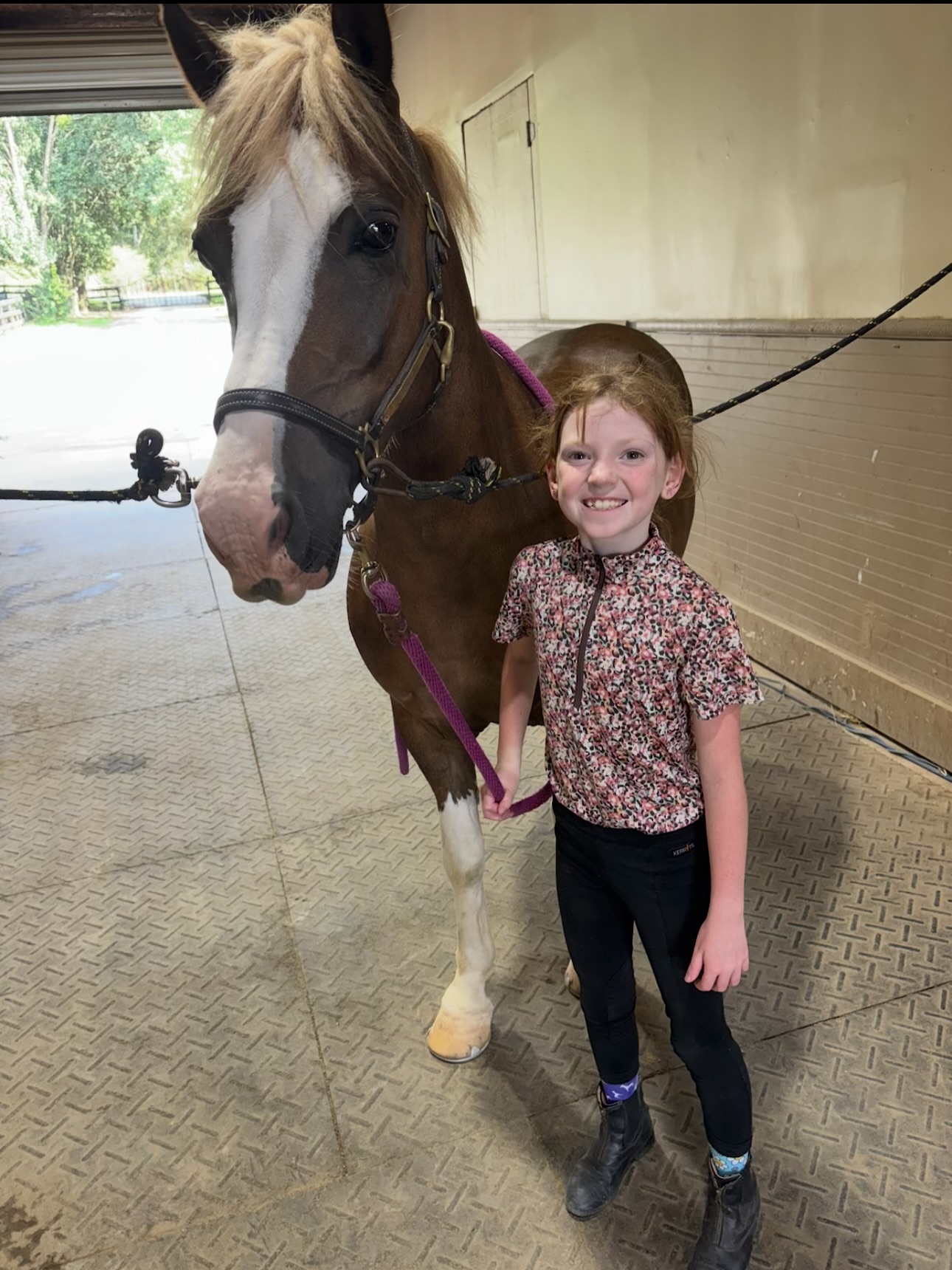 Falcon Ridge Stables | Woodstock GA