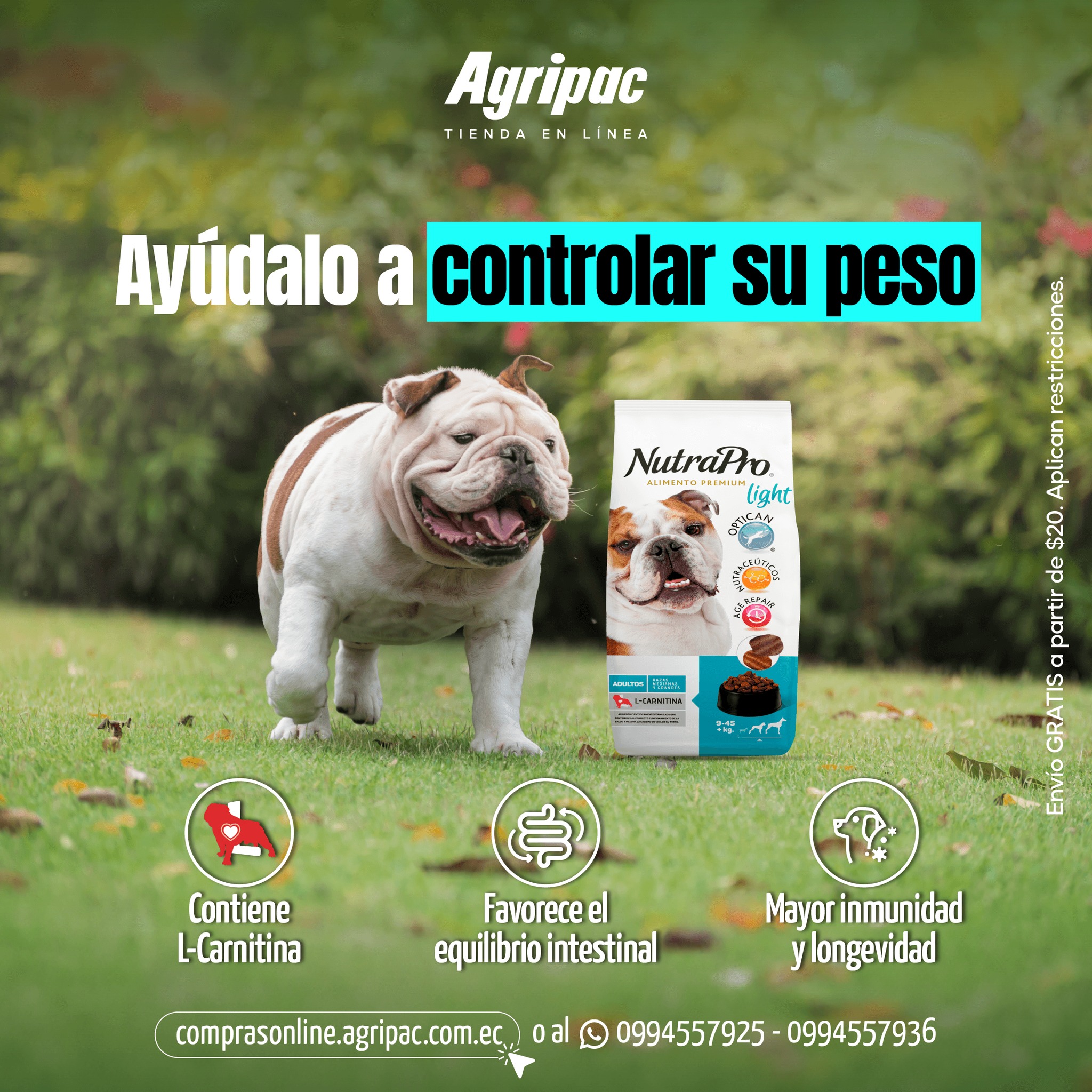 l carnitine injection price L-Carnitina · NaturTierra · 60 cápsulas – Herbolario Salud Natural Alimentos Con L Carnitina