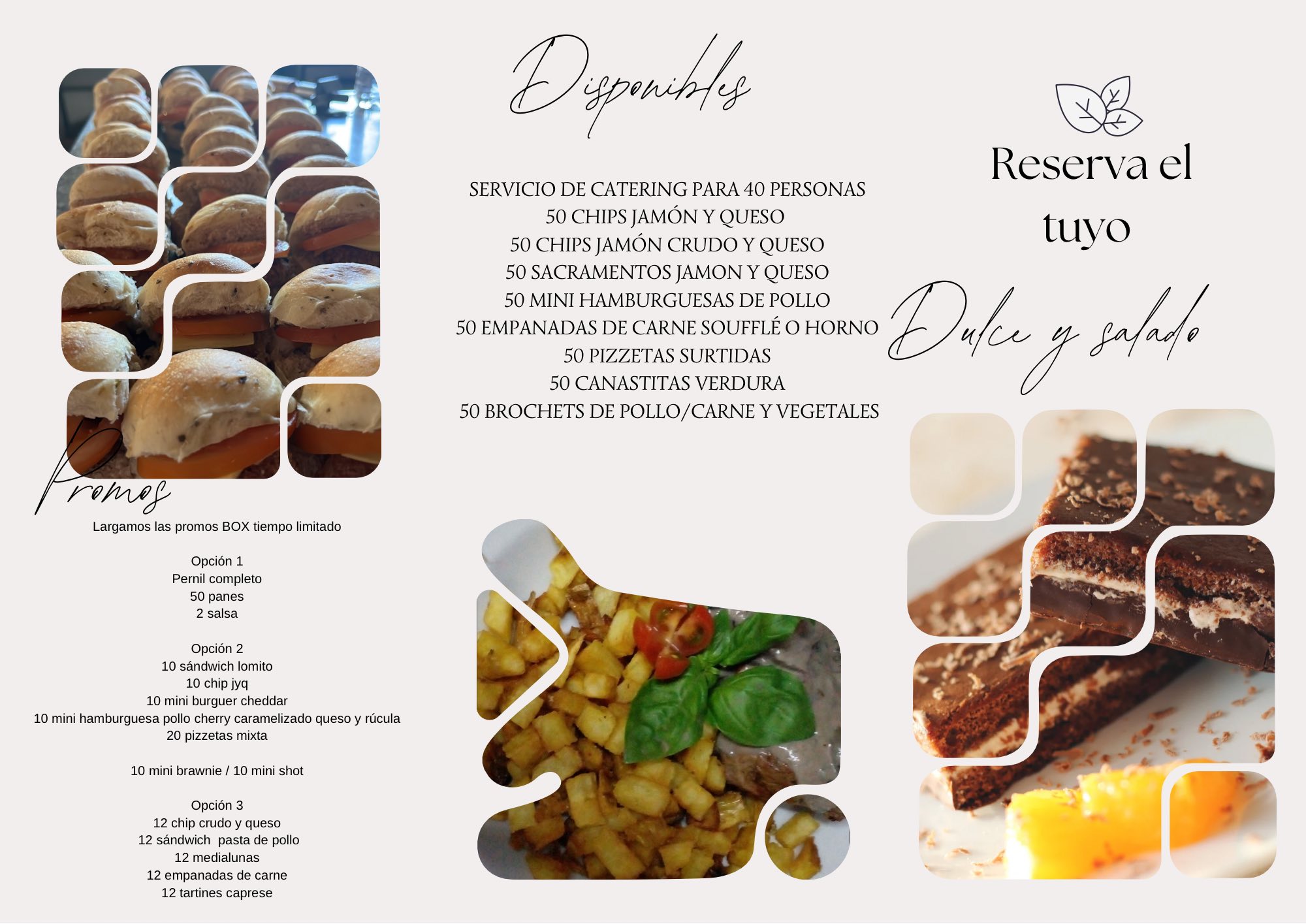 Proyecto fenix Catering+