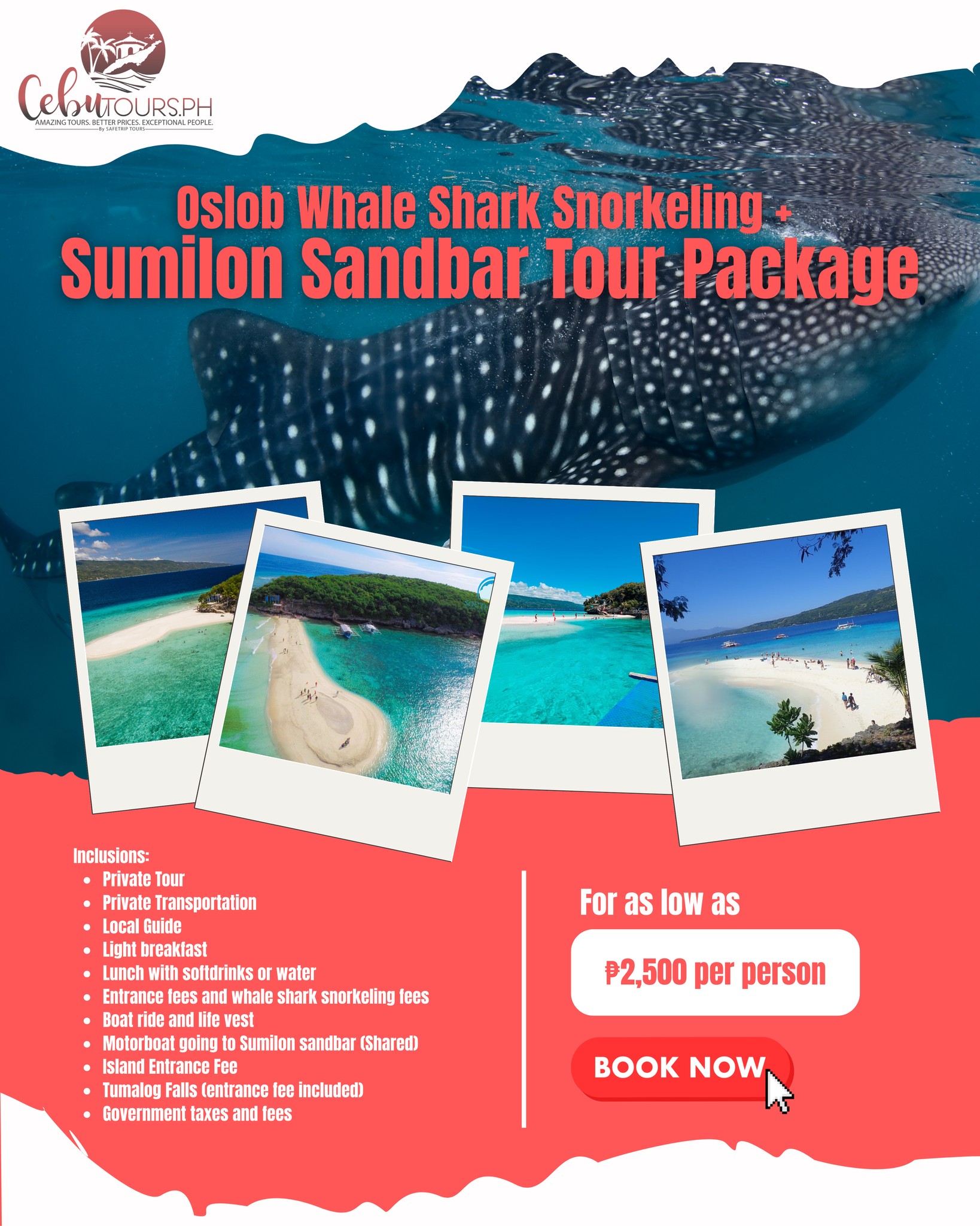 Cebu - 𝐎𝐒𝐋𝐎𝐁 𝐖𝐇𝐀𝐋𝐄 𝐒𝐇𝐀𝐑𝐊 𝐒𝐍𝐎𝐑𝐊𝐄𝐋𝐈𝐍𝐆 + 𝐒𝐔𝐌𝐈𝐋𝐎𝐍 𝐒𝐀𝐍𝐃𝐁𝐀𝐑 𝐓𝐎𝐔𝐑 𝐏𝐀𝐂𝐊𝐀𝐆𝐄 ...