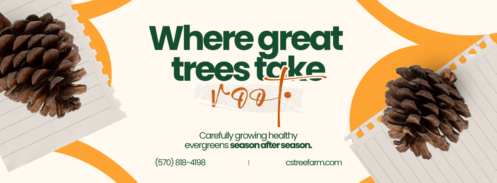 Crystal Spring Tree Farm | Lehighton PA