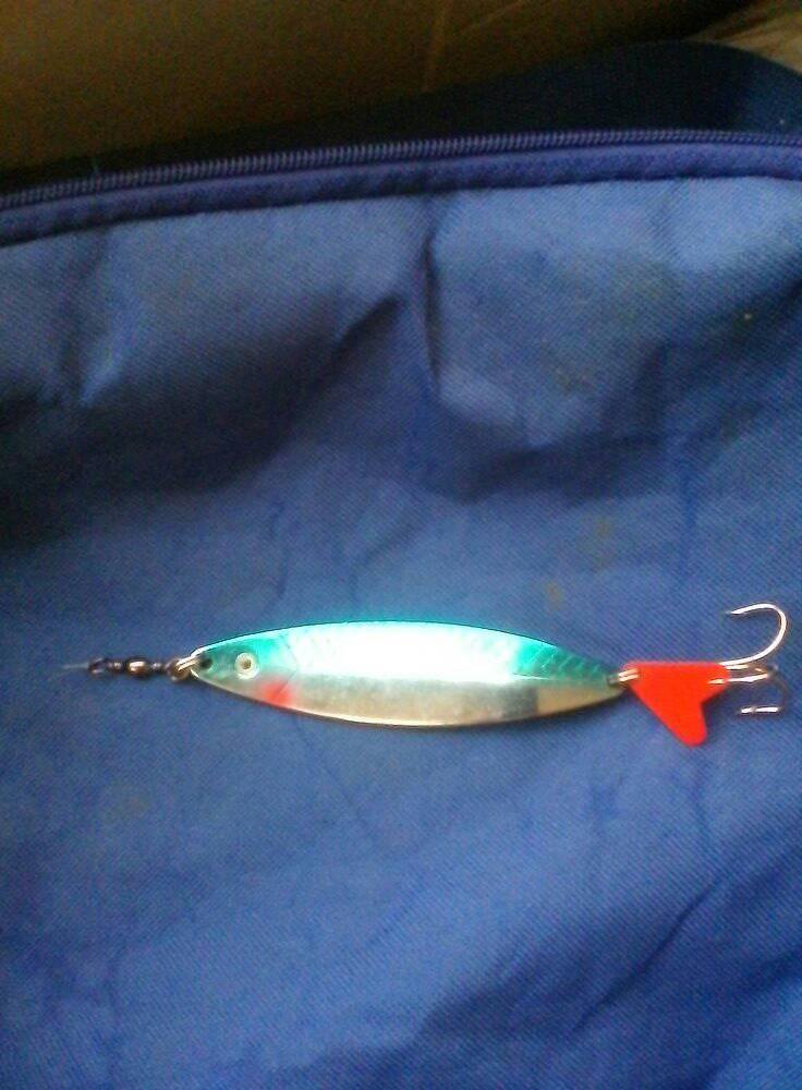 fish on lures tongaat 5 Pcs/Bag Blue Fly Saltwater Trolling Fishing Tuna Mahi Wahoo Dora Saltwater Big Game Fishing Tackle (12in Squid+Blue Fly Fish) : Sports & Outdoors Not sure which lure to