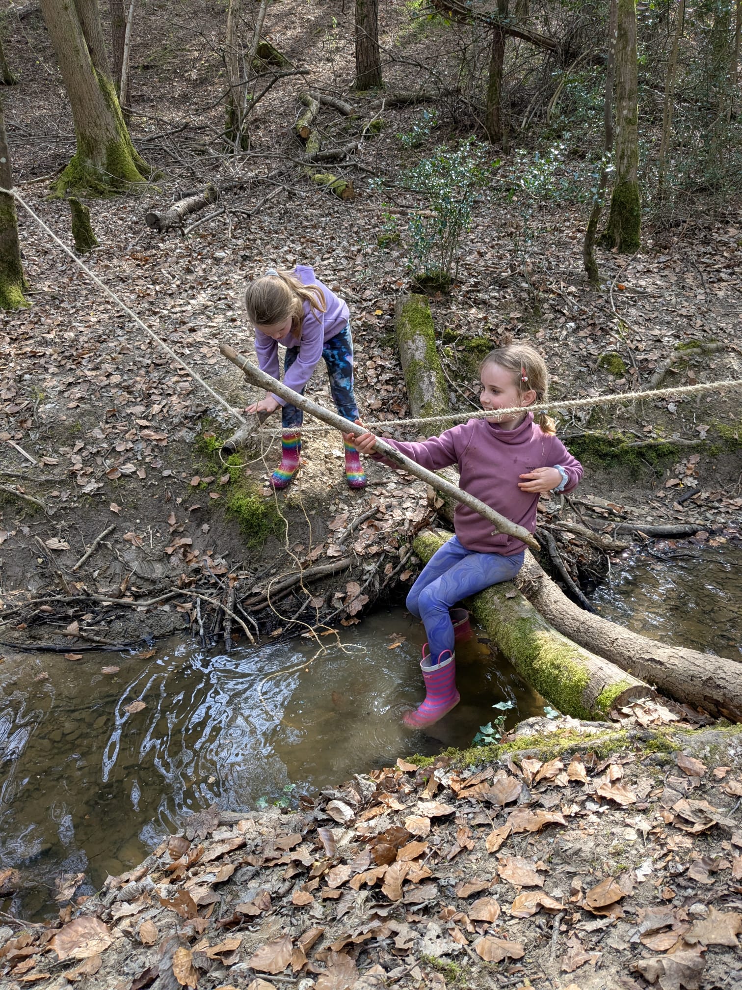 Wild Learning