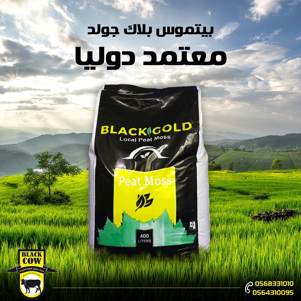 سماد عضوي البقرة السوداء - black cow compost | Al Kharj