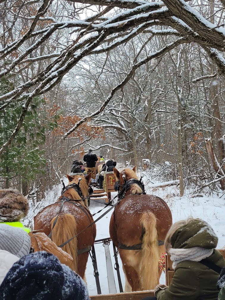 Red Ridge Ranch Riding Stable | Mauston WI
