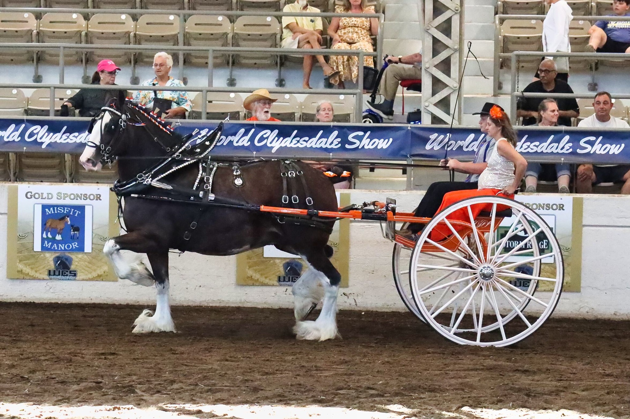 Brookside Farm Clydesdales... - Brookside Farm Clydesdales