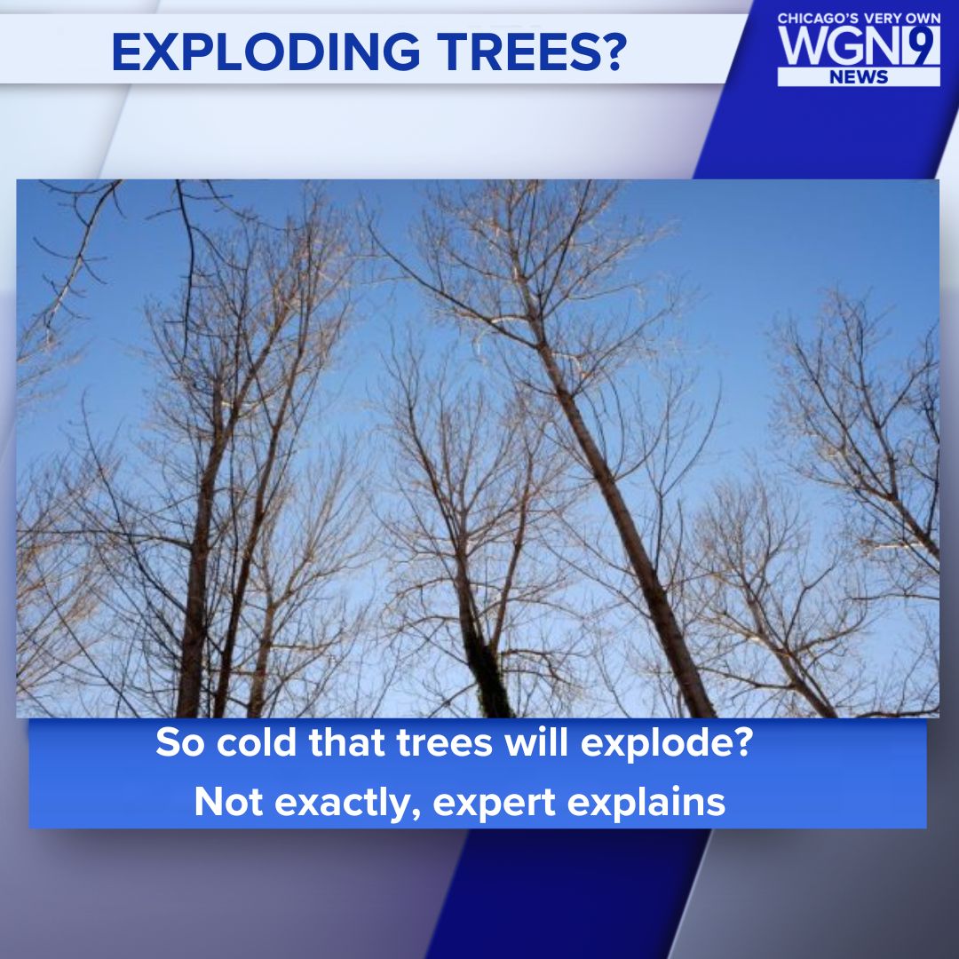 Dangerously cold temperatures have... - WGN Morning News | Facebook
