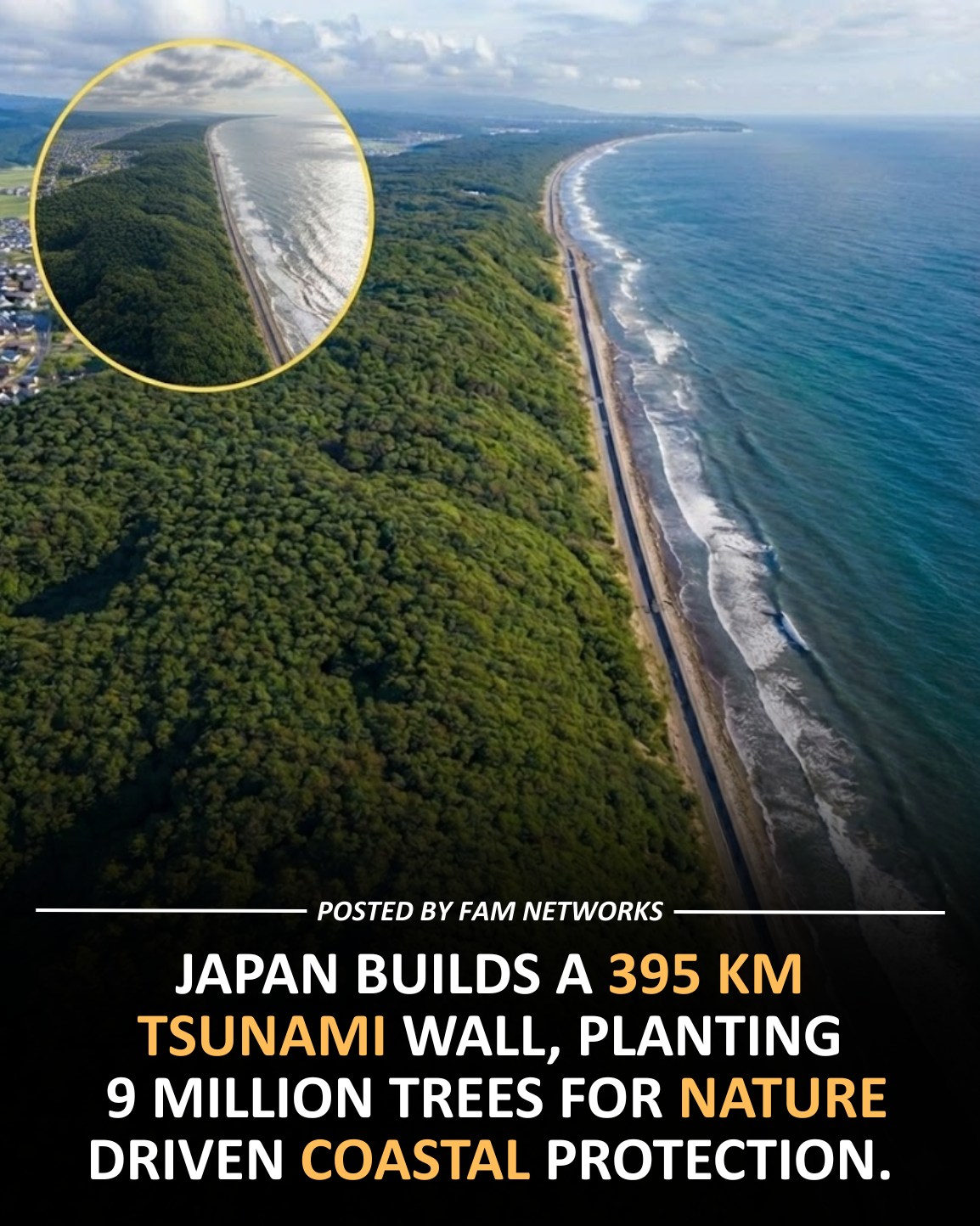 MaximBady - Posted by FAM Networks | Japan constructs a 395 km tsunami ...
