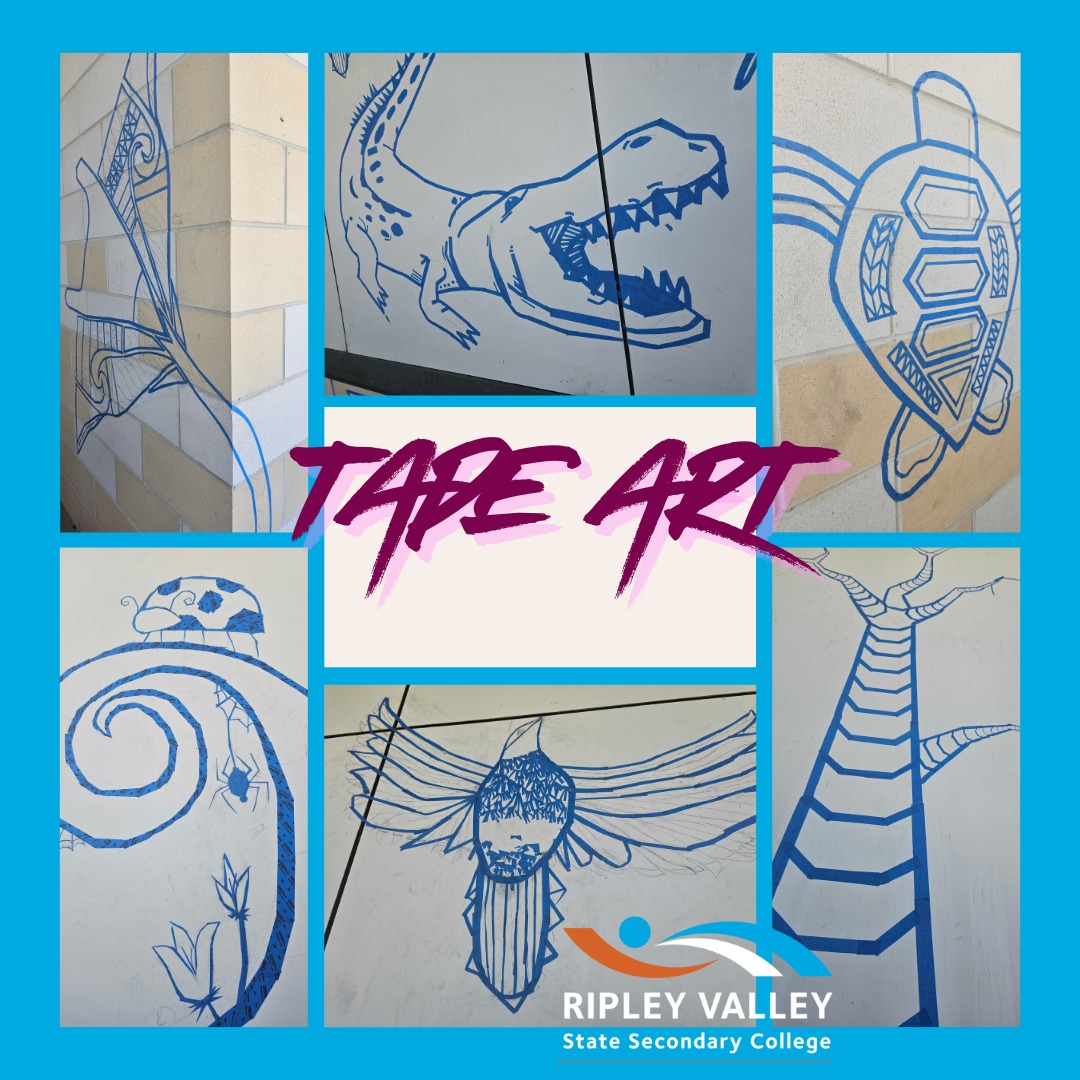 The RVSSC Year 11... - Ripley Valley State Secondary College | Facebook