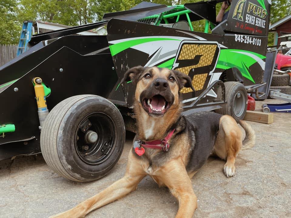 Go D.L. Racing Team added a new photo. - Go D.L. Racing Team