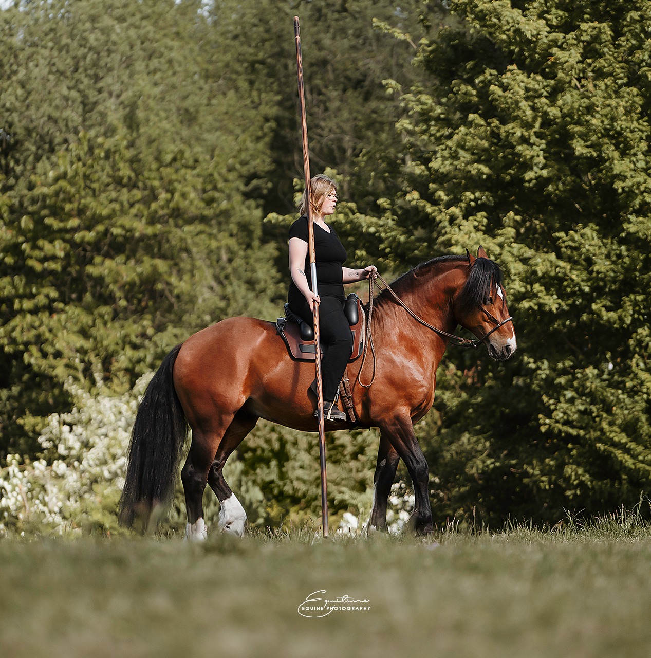 zelt ofen Frontier Plus Ofen Paket  Lotus Belle Zelte: Lotus Belle Tents Europe