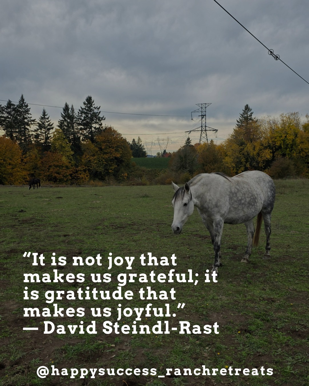 Gratitude is the key to... - Happy Success Ranch Retreats | Facebook
