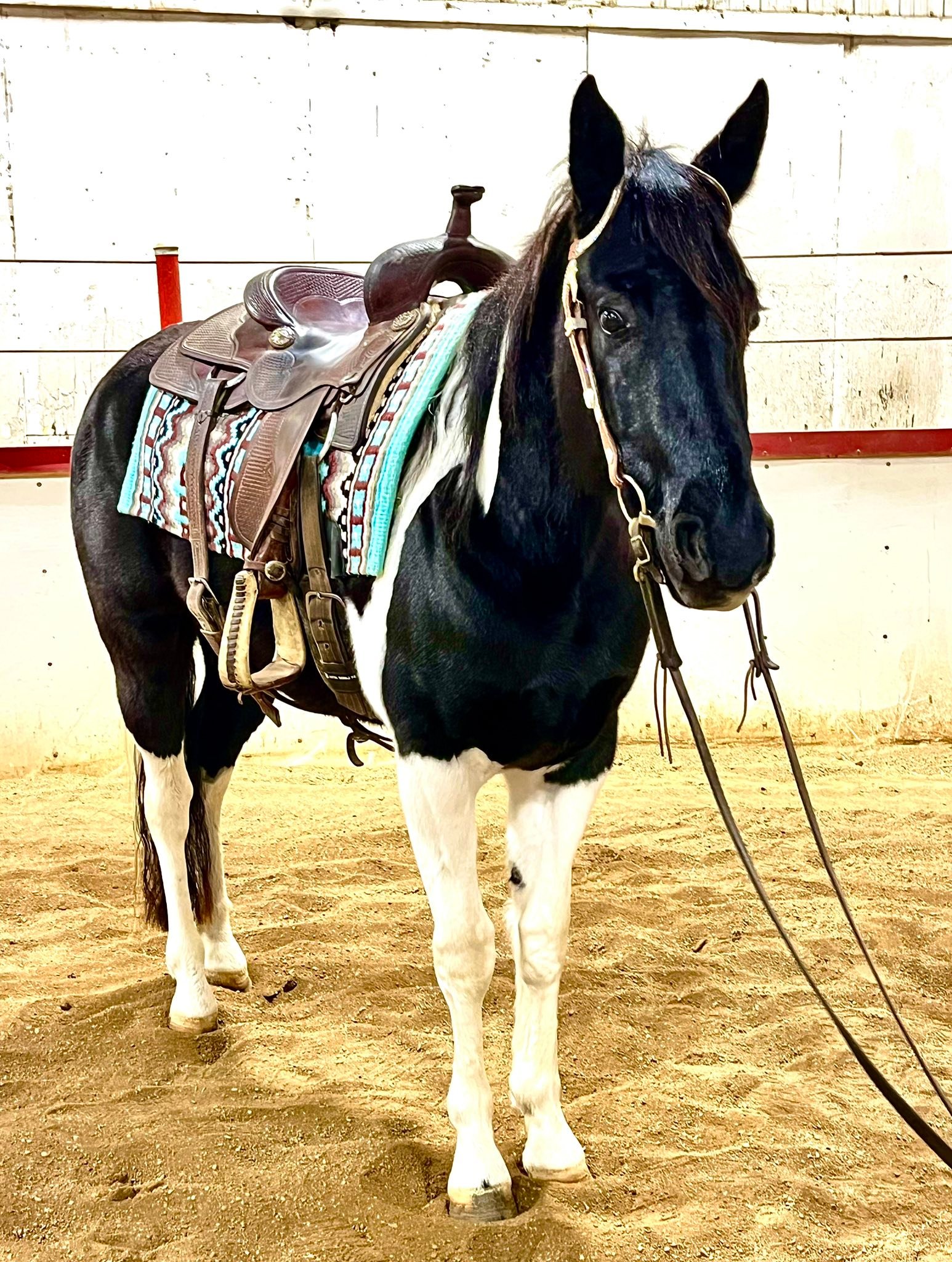 Southern Springs Stable added a... - Southern Springs Stable
