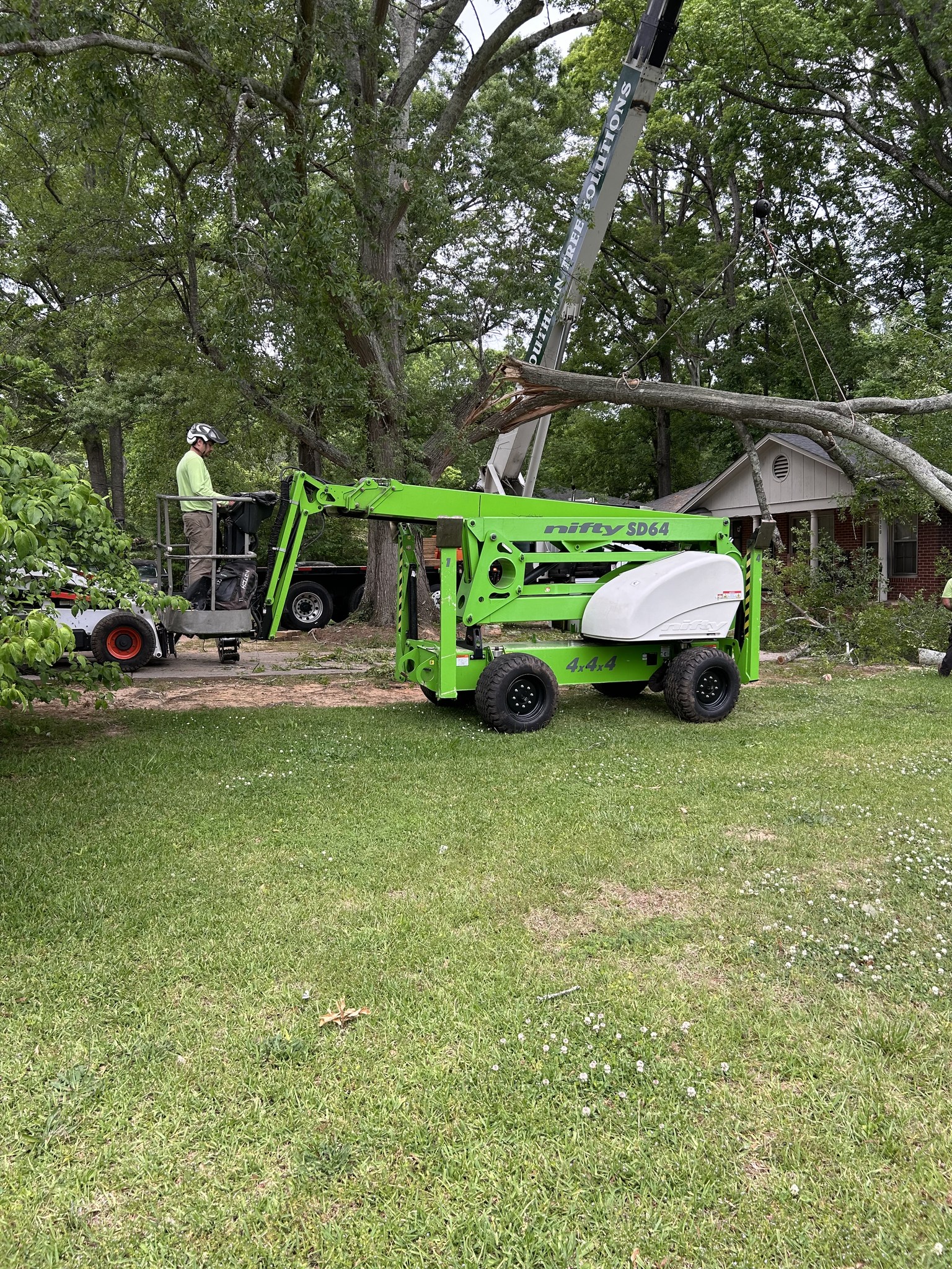 Southern Tree Solutions | Griffin GA