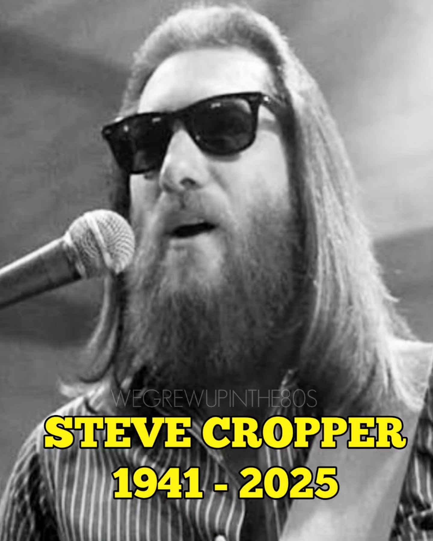 We - Steve 