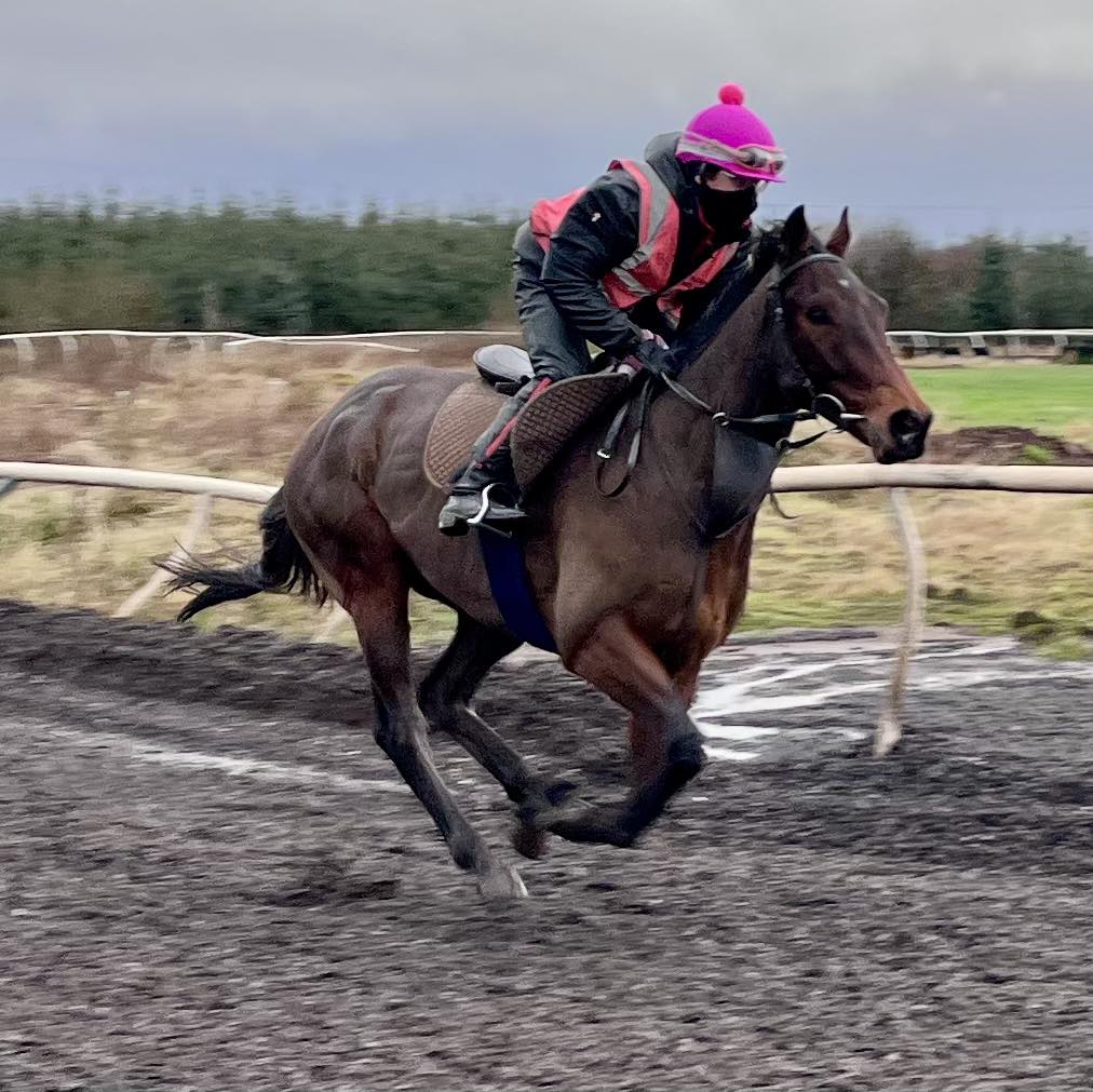 Jim Goldie Racing | Glasgow