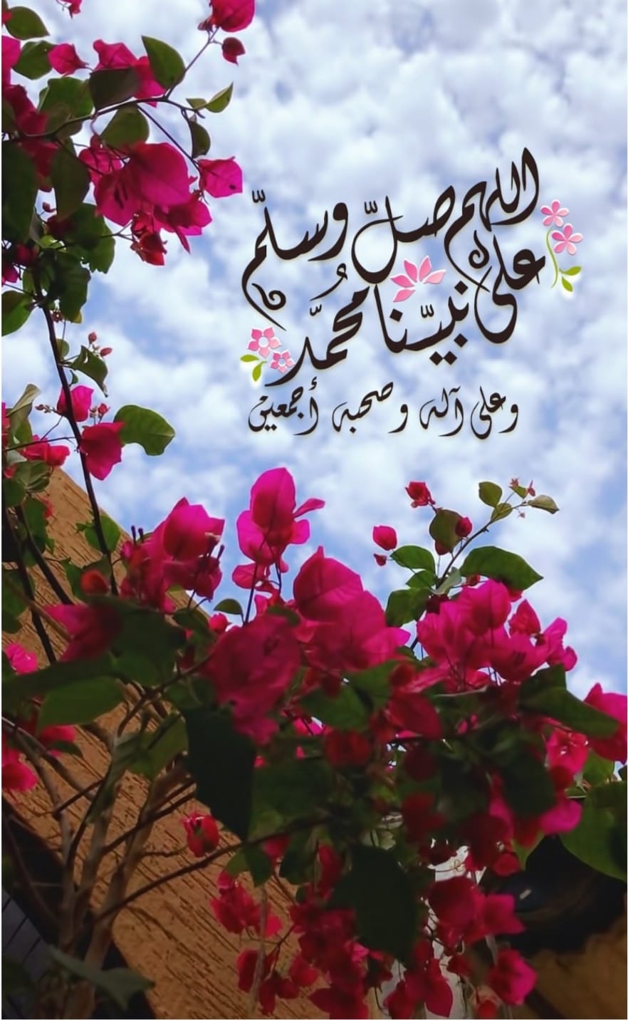 أسع... - عيادة الدكتور هيثم علي النسور طب وجراحة الفم والاسنان