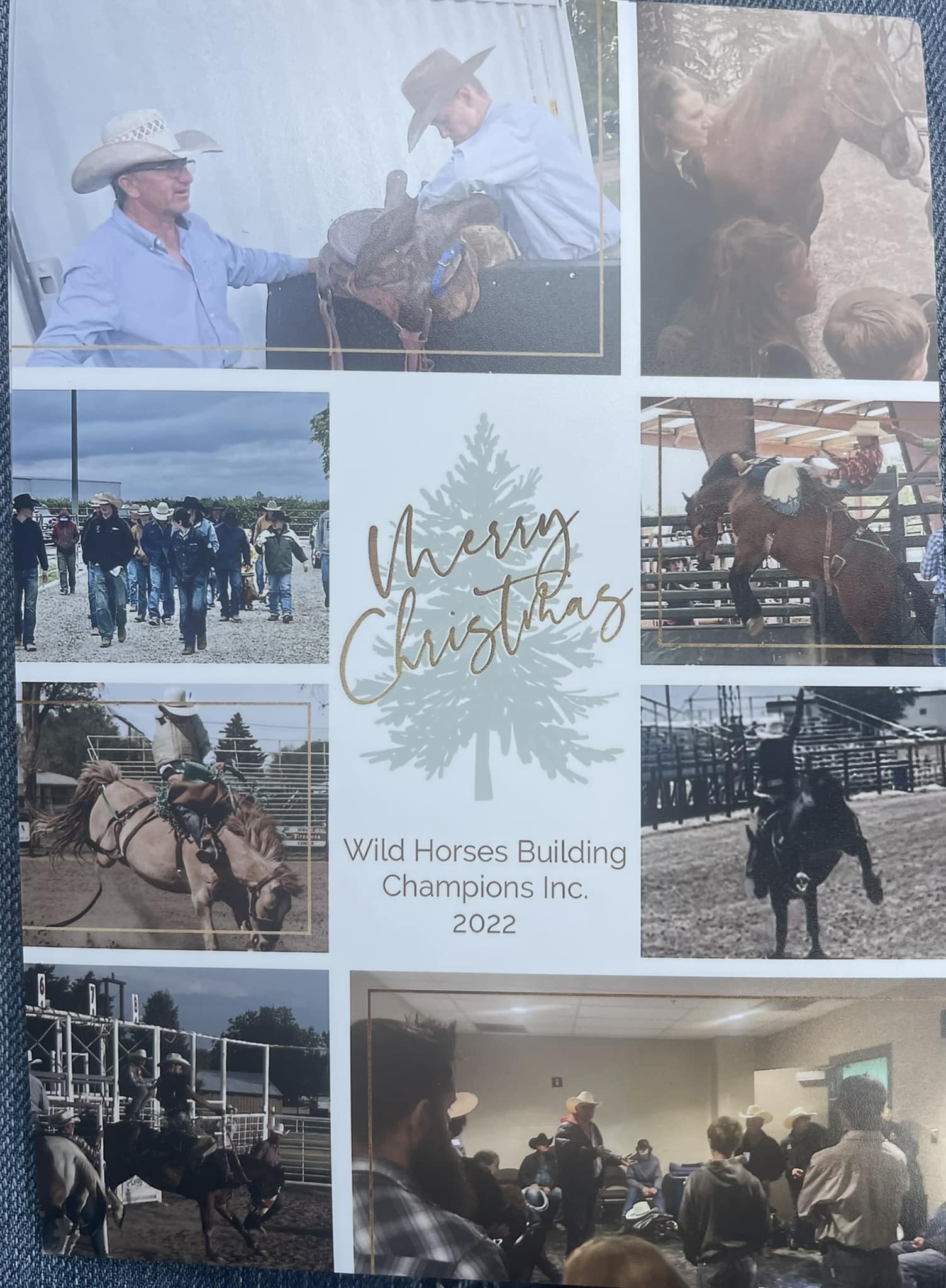 Wild Horses Building Champions Youth Program