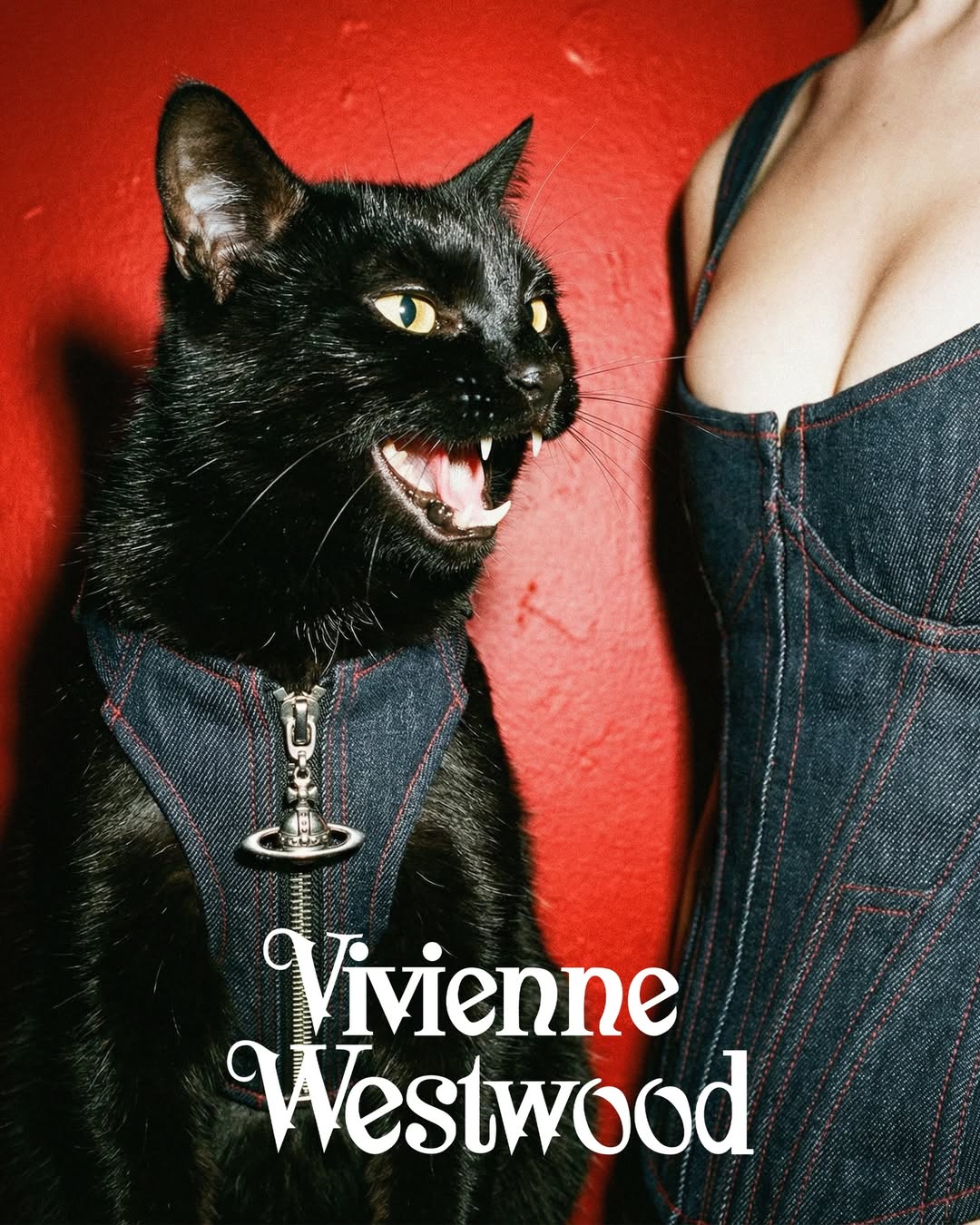 Vivienne Westwood Concepts Collection for Cat lover!🐈 . via