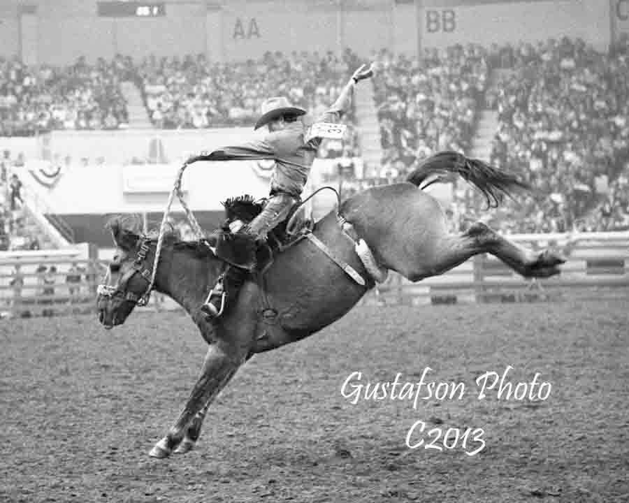 Bronc - Four years after John Forbes rode Beutler & Son Rodeo's great ...