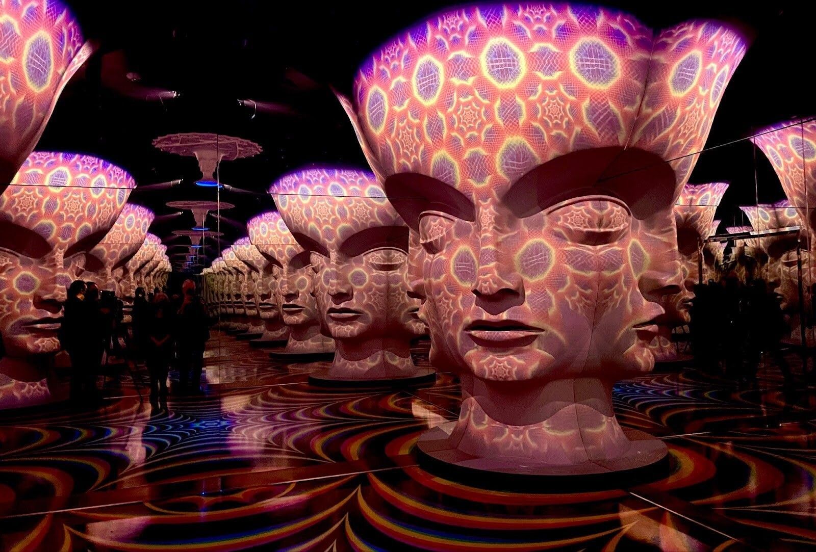 THE INFINITIZER & THE PROJECTED DESERT at @Meow__Wolf Las Vegas