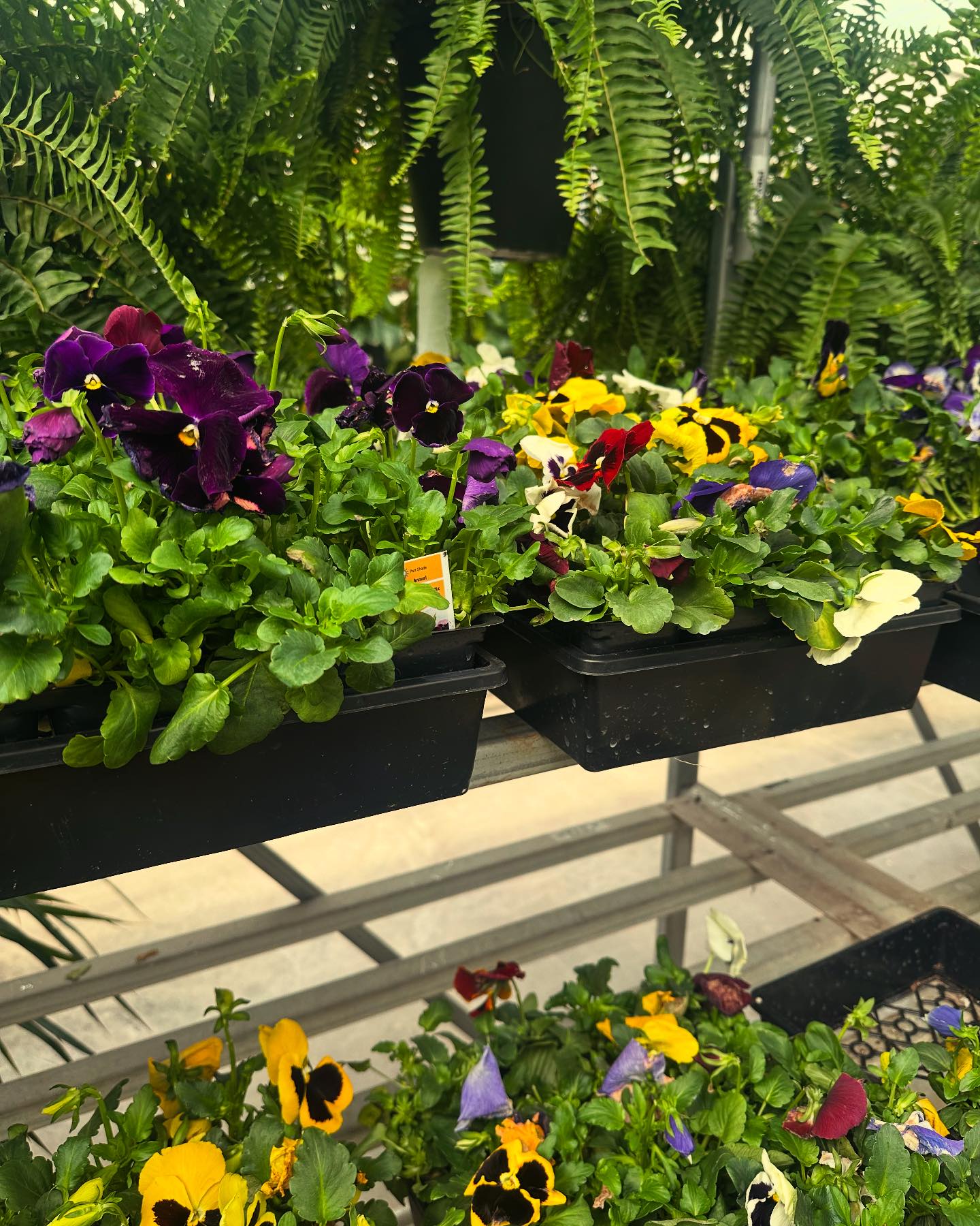 Art Knapp Plantland Home & Garden | Prince George BC