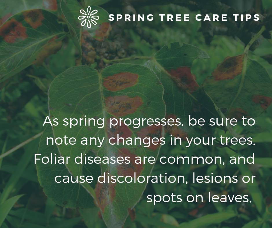 Bartlett Tree Experts - Gaithersburg, MD | Gaithersburg MD