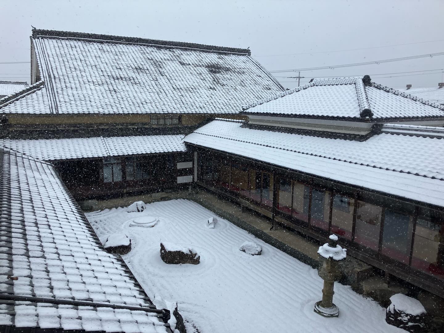 コヤノ 美術館 西脇 館