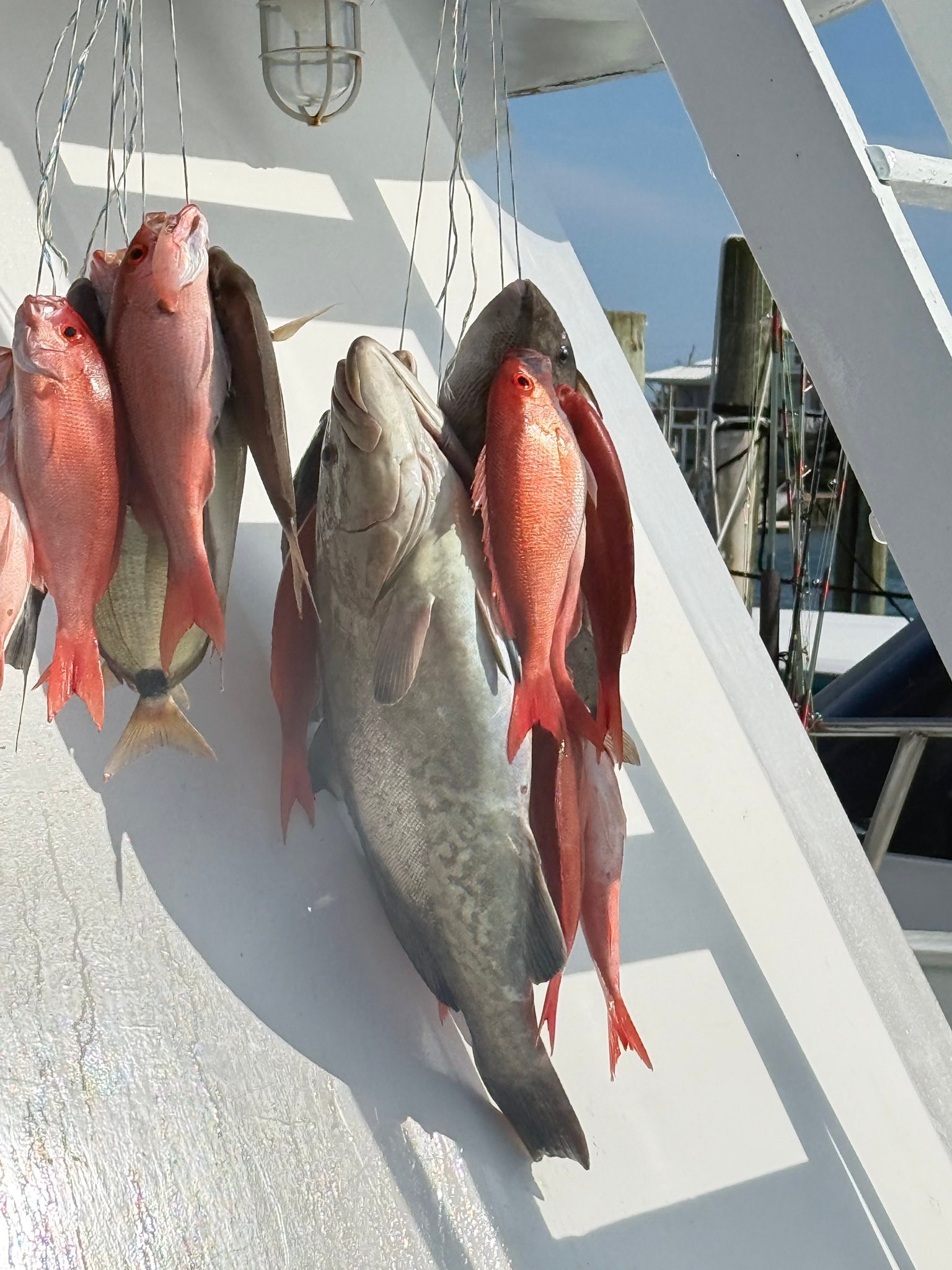 Capt Stacy Fishing Center... - Capt Stacy Fishing Center