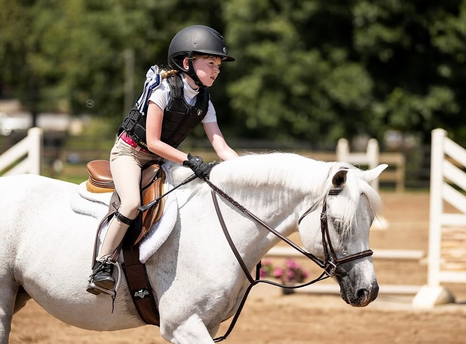 Falcon Ridge Stables | Woodstock GA