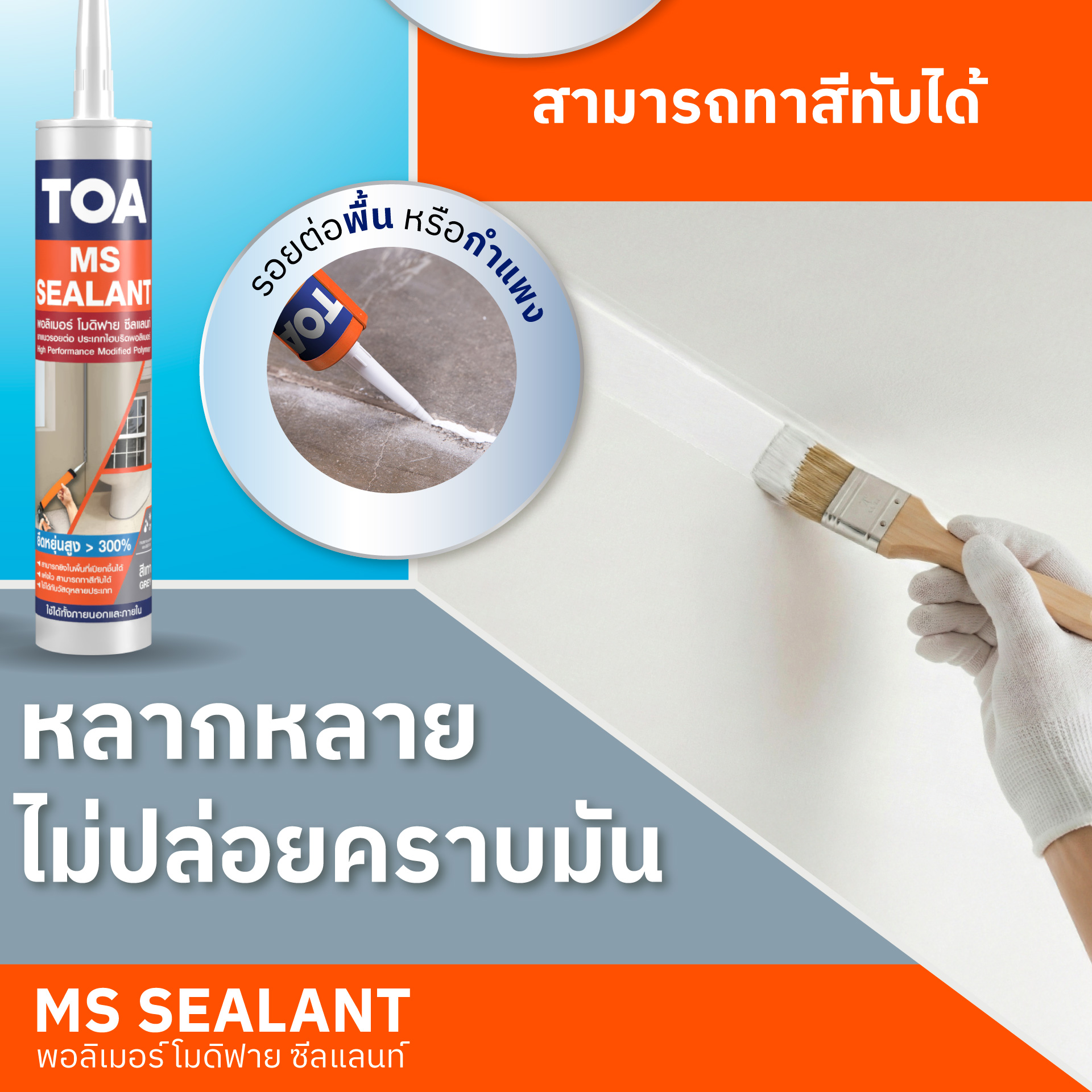 TOA - กลุ่มสี Cool White TOA 8292 Quick Silver เอ๊ะ! แล้วจะเลือกสีรุ่น ...