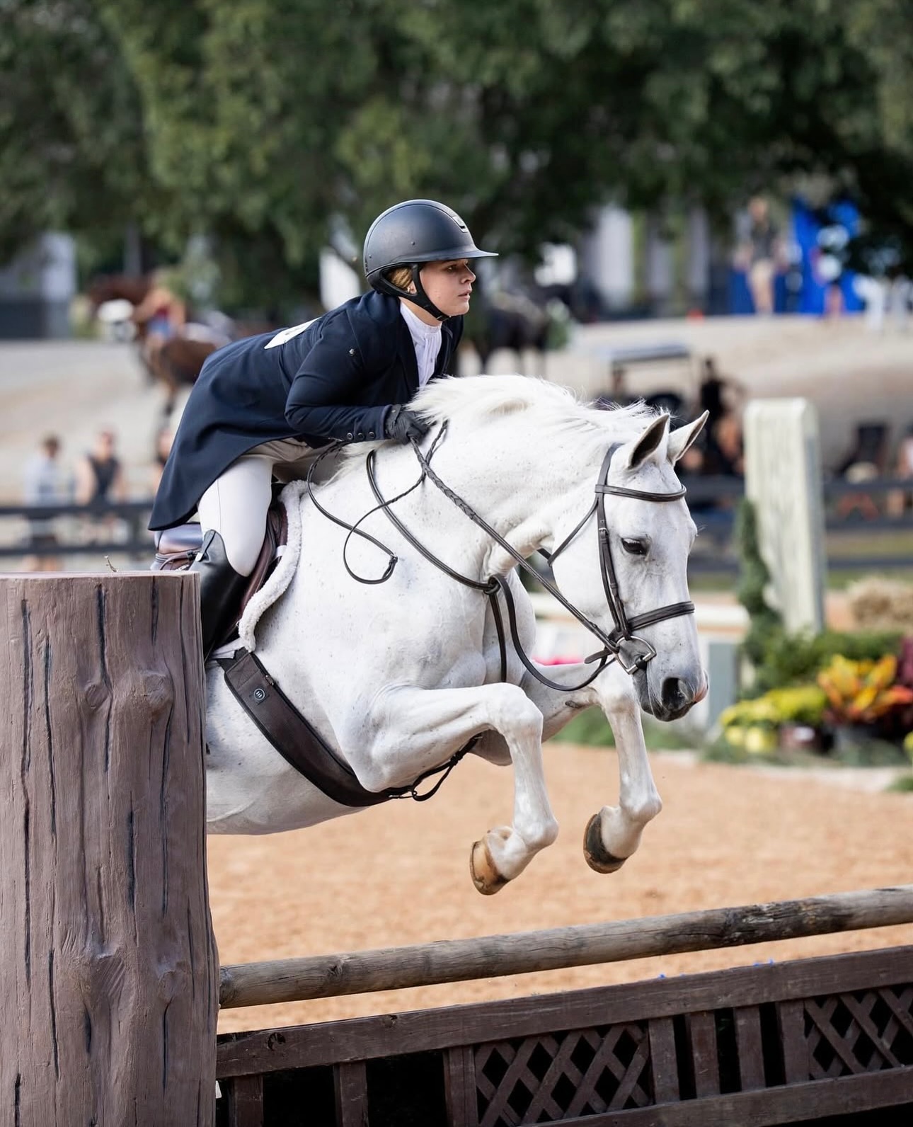 Falcon Ridge Stables | Woodstock GA