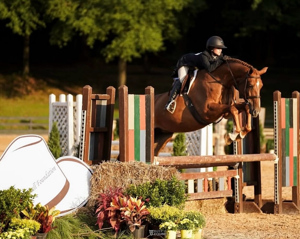Falcon Ridge Stables added a new photo. - Falcon Ridge Stables
