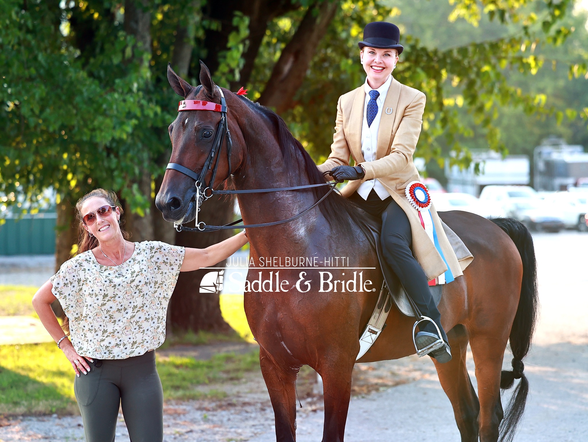 Saddle And Bridle added a new photo. - Saddle And Bridle