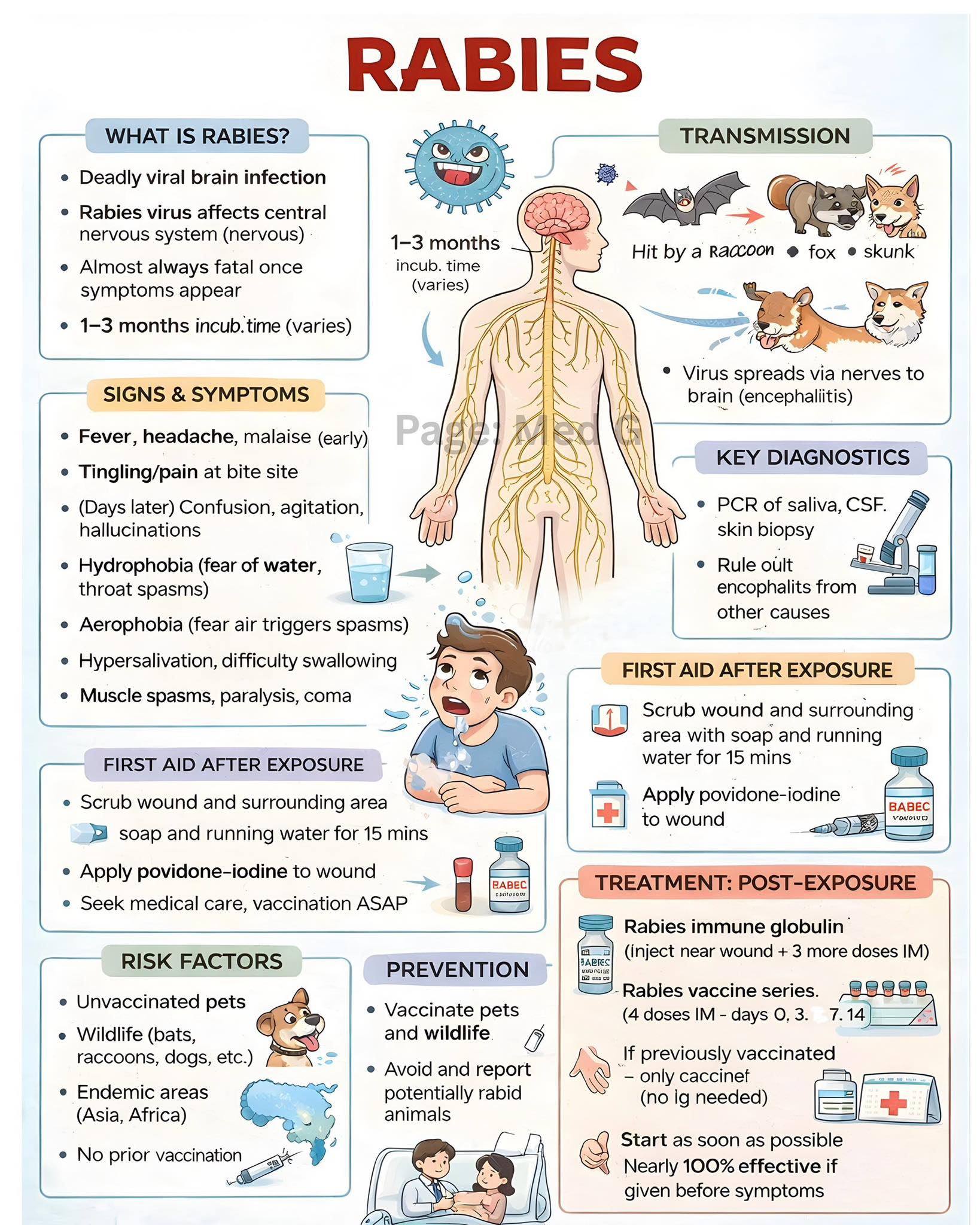 Med - #Rabies is a preventable yet nearly 100% fatal viral disease that ...