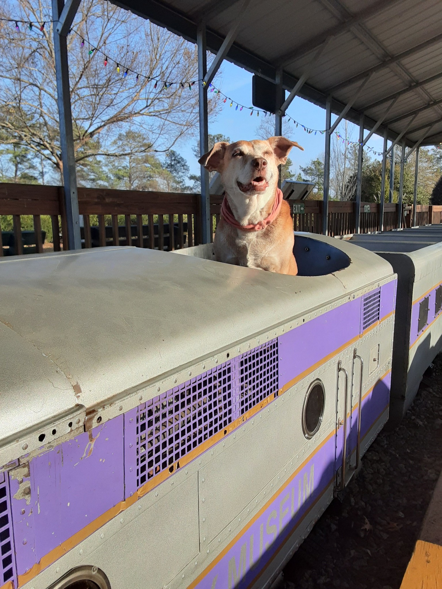 Southeastern Railway Museum - Ruth H and education coordinator Jim P ...