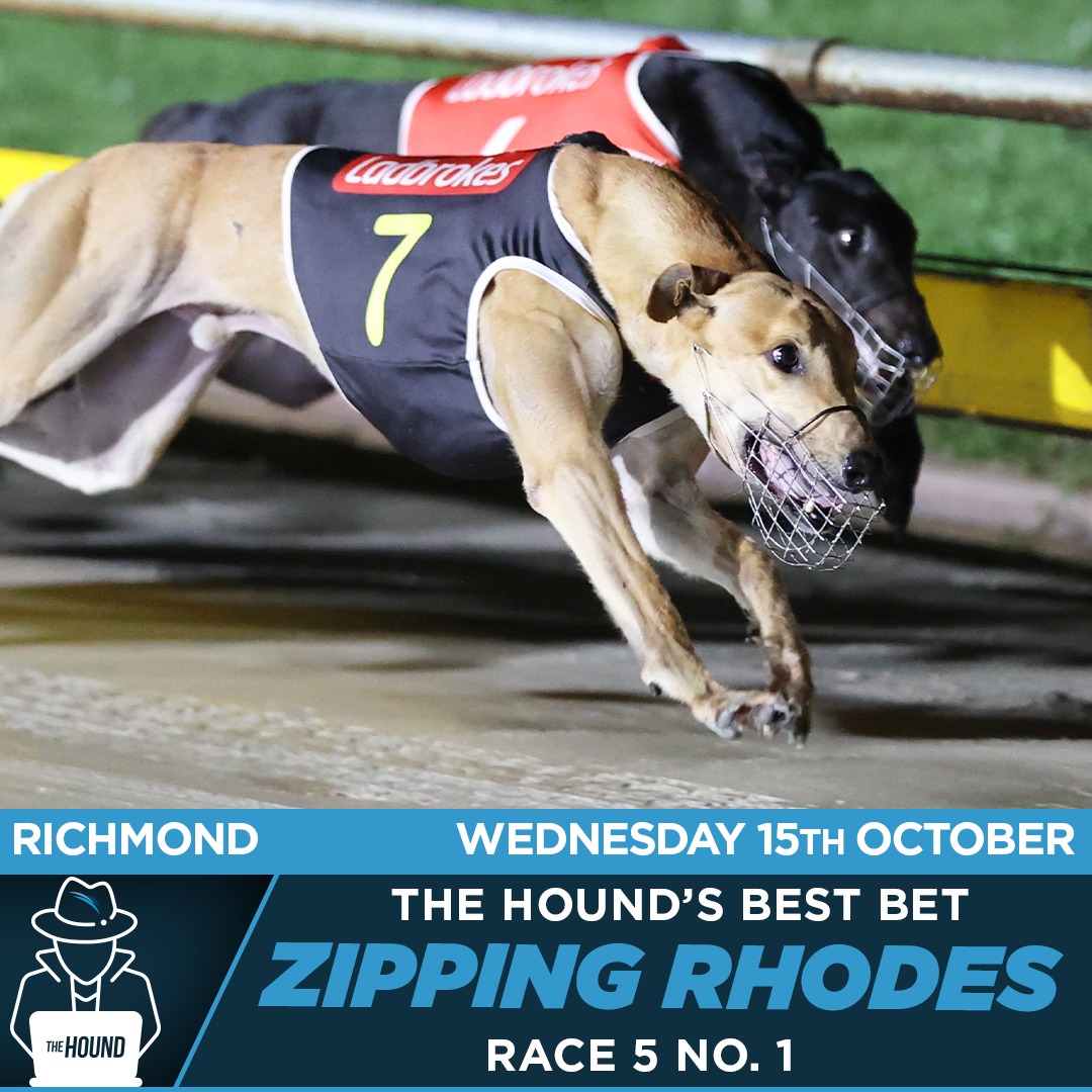 The Dogs - #TheHound's #BestBet at Richmond Race Club - Greyhounds ...