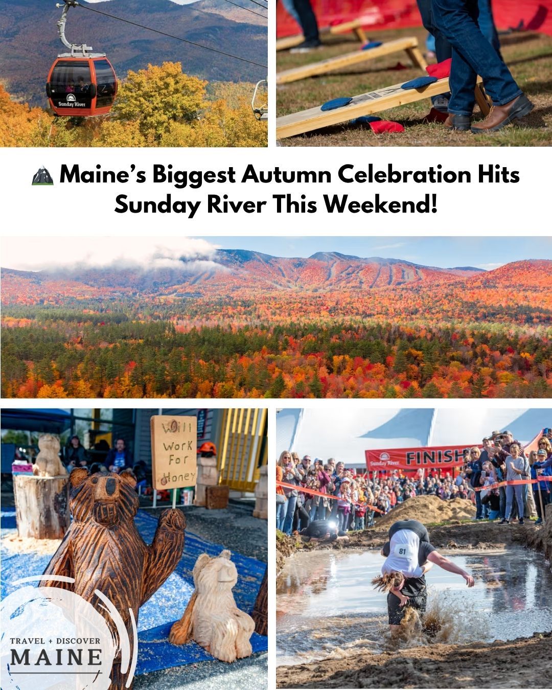 Travel+Discover - 🍂 Fall fun, fierce competitions, and foliage for days ...