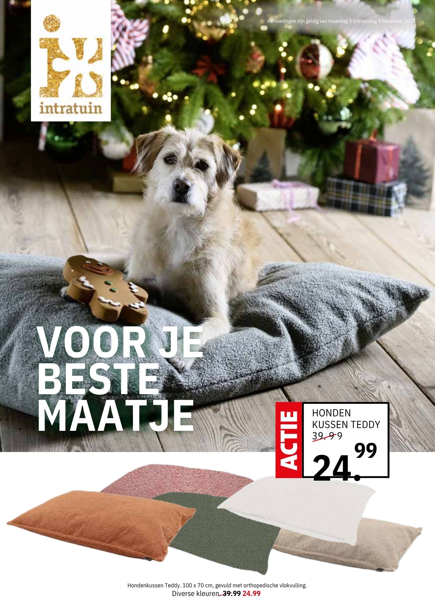 Intratuin - Intratuin (Leidsche Rijn) added a new photo.