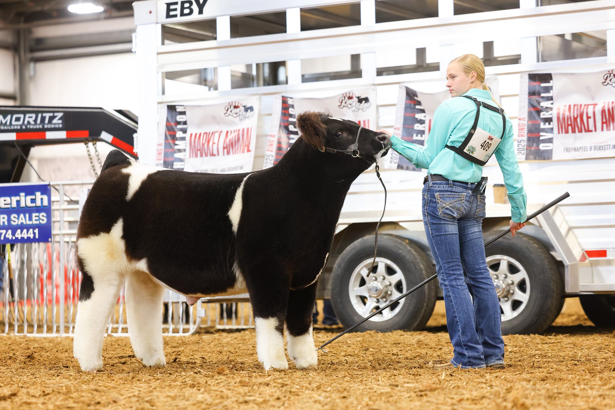 Dupler Cattle | Mount Perry OH