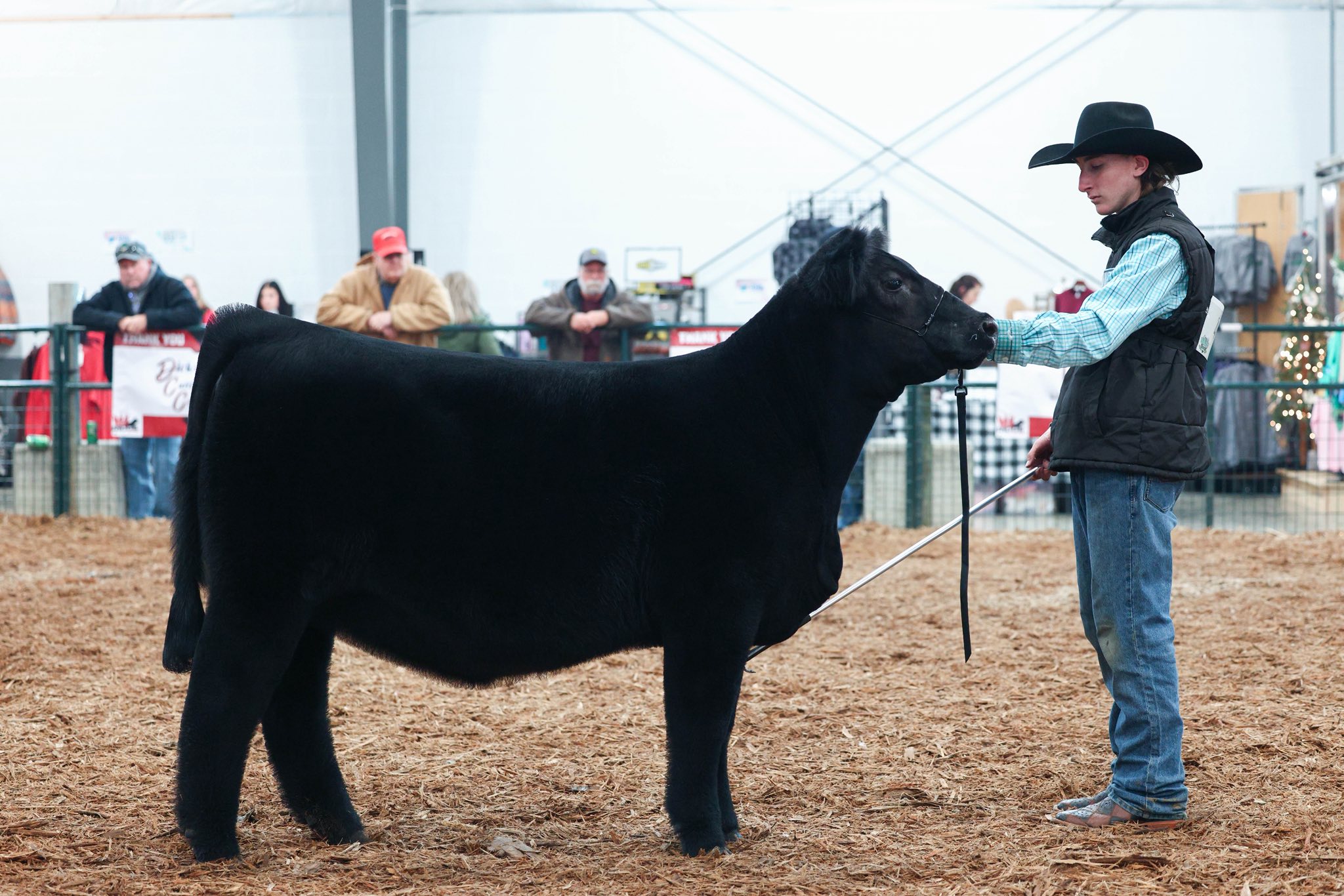 Dupler Cattle | Mount Perry OH