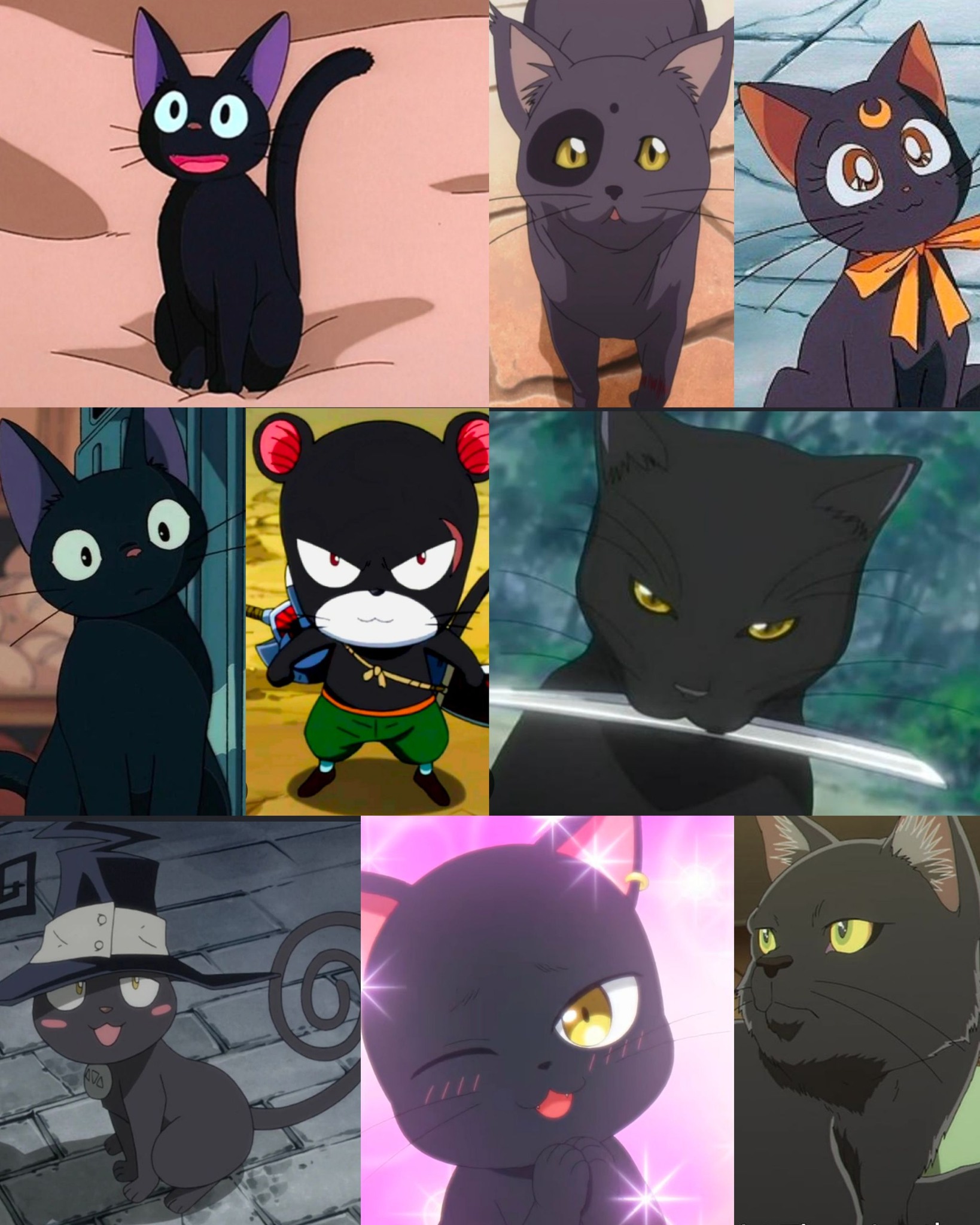 The Black Cats (KuroNeko). Can you name them all? And some