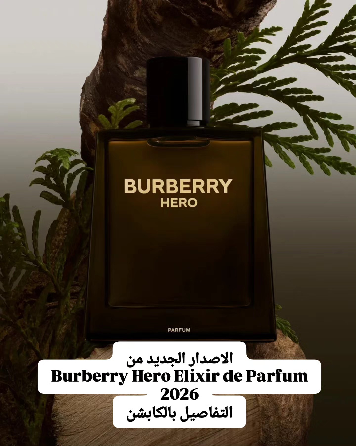 Issa - بربري توسع مجموعة هيرو باصدارها الجديد لسنة 2026 Burberry 